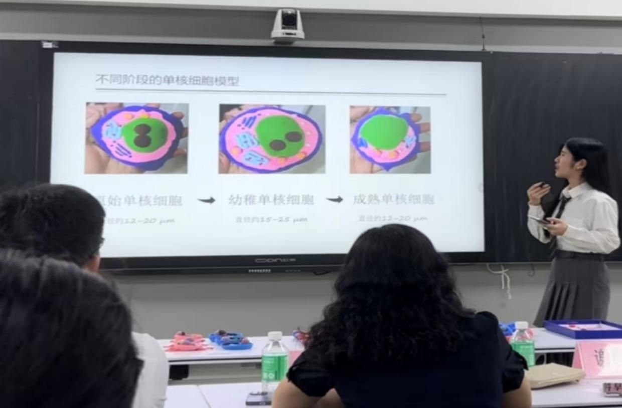 4bd00d6f2c4afd489ff93920709ee9ea_